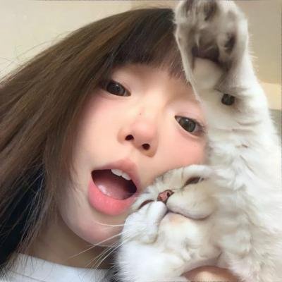 上海狂想曲
